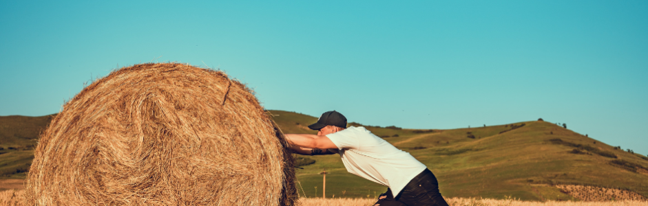 La perseverancia para superar los obstáculos como cuidadores